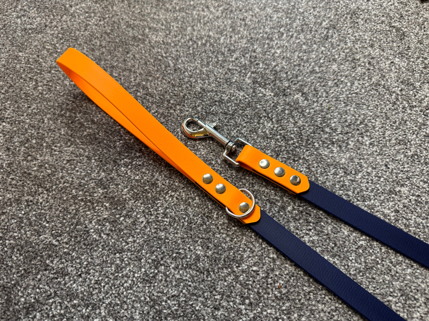 4ft Biothane Clip Lead (Ready to Ship)