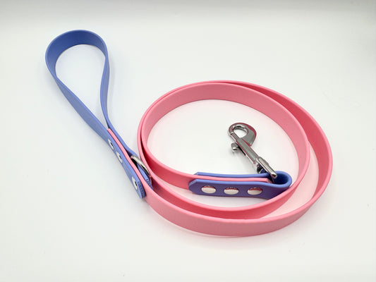 4ft Biothane Clip Lead (Ready to Ship)