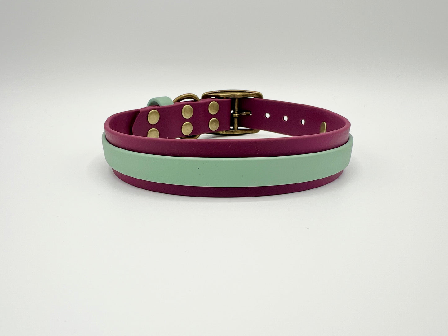 Two-Tone 25mm Biothane Adjustable Collar (Custom)