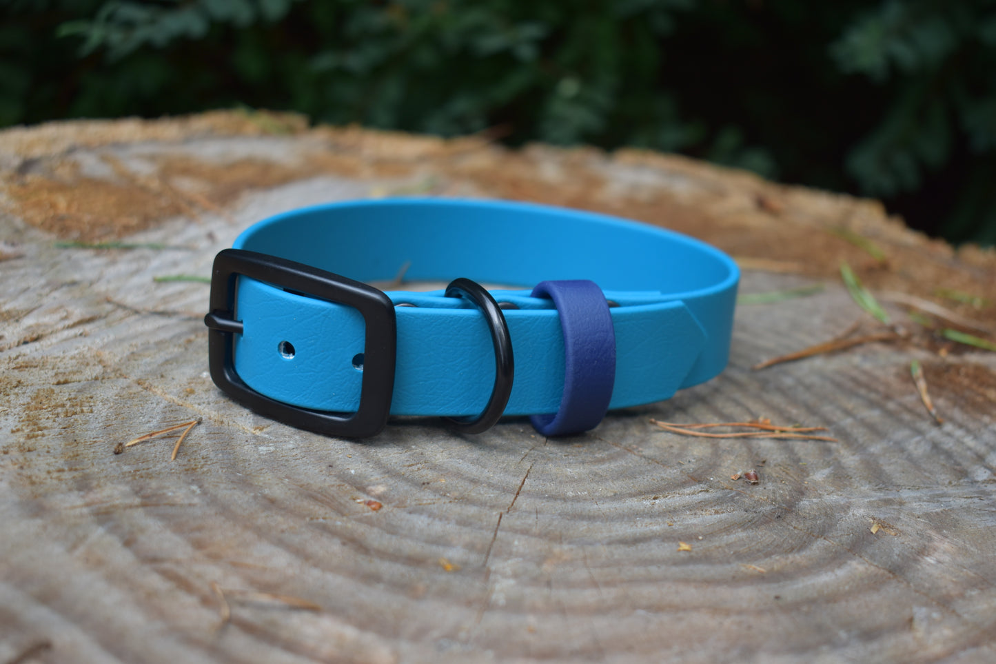 25mm Biothane Adjustable Collar (Custom)