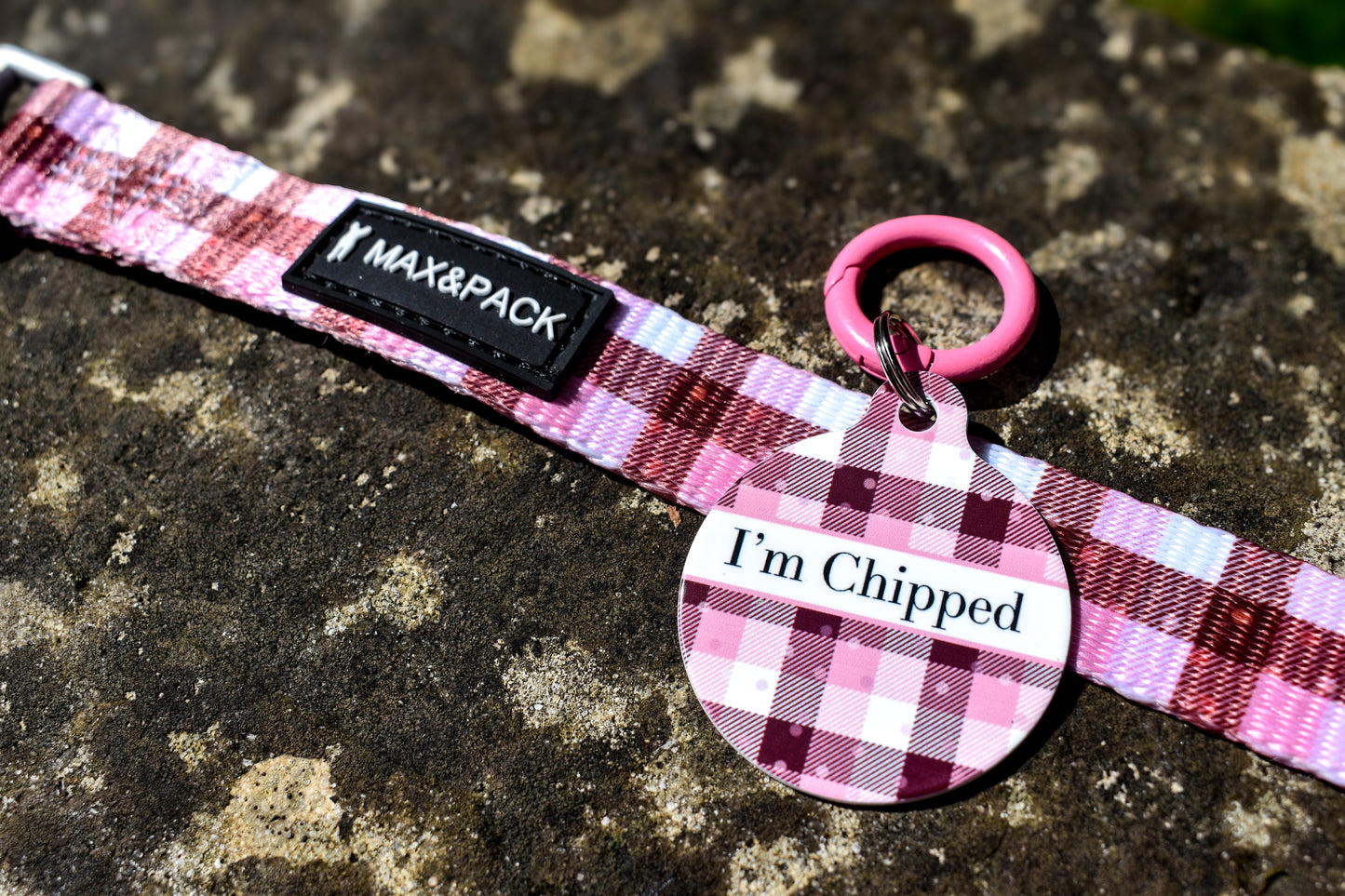 BurgHoundy Dog ID Tag