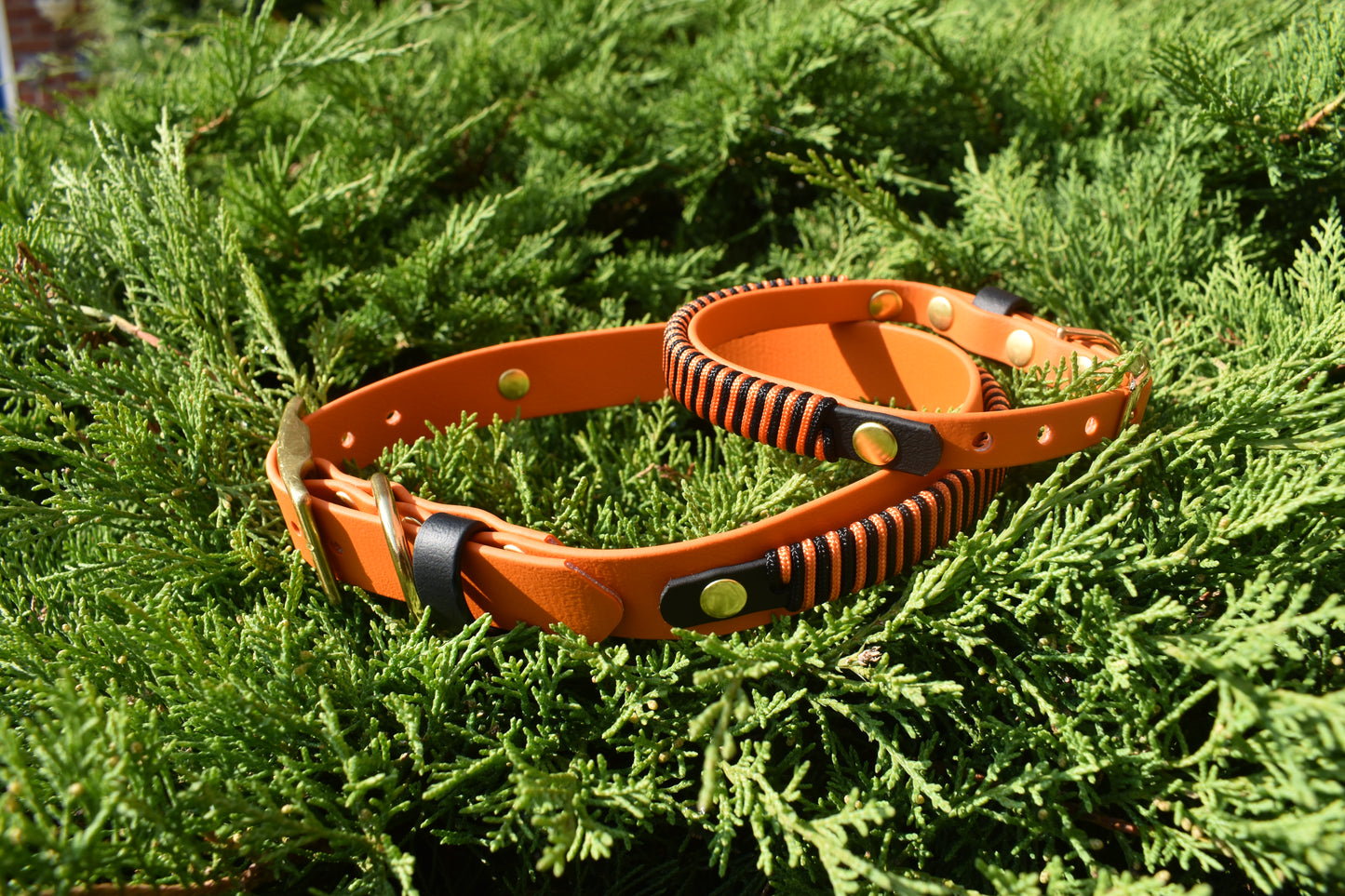 Pumpkin Halloween Twirlies Collar