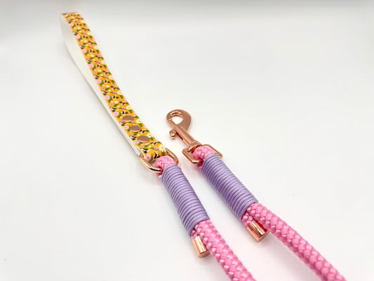 4ft Rope Clip Lead with UV printed Biothane handle (Ready to Ship)