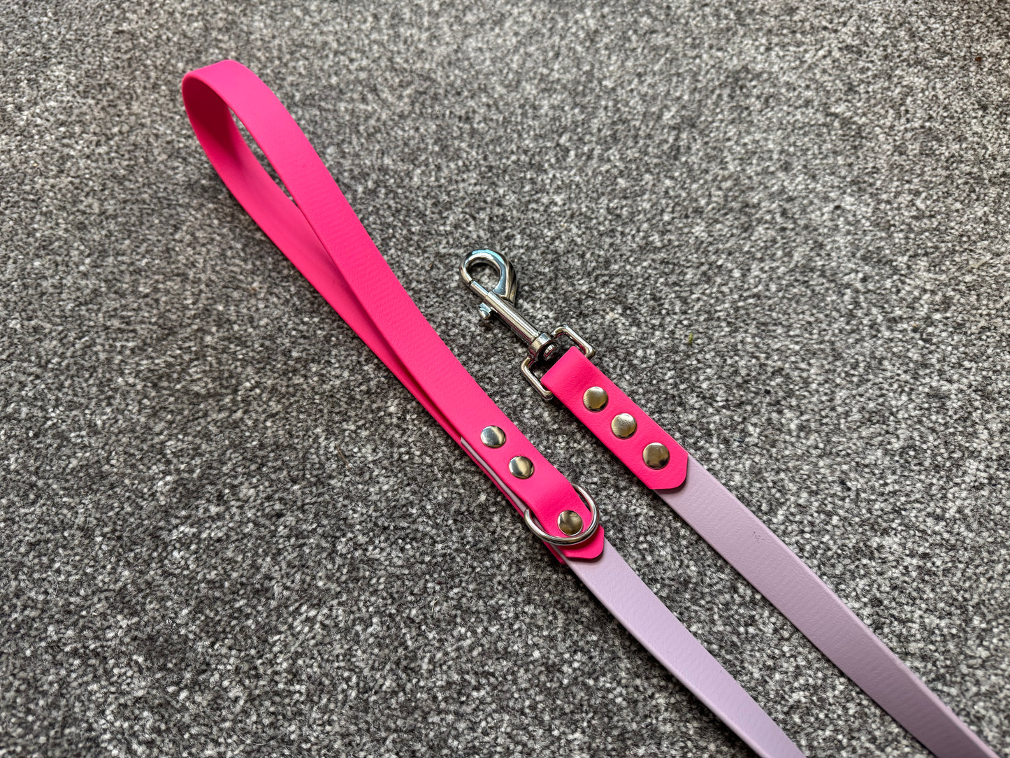 4ft Biothane Clip Lead (Ready to Ship)