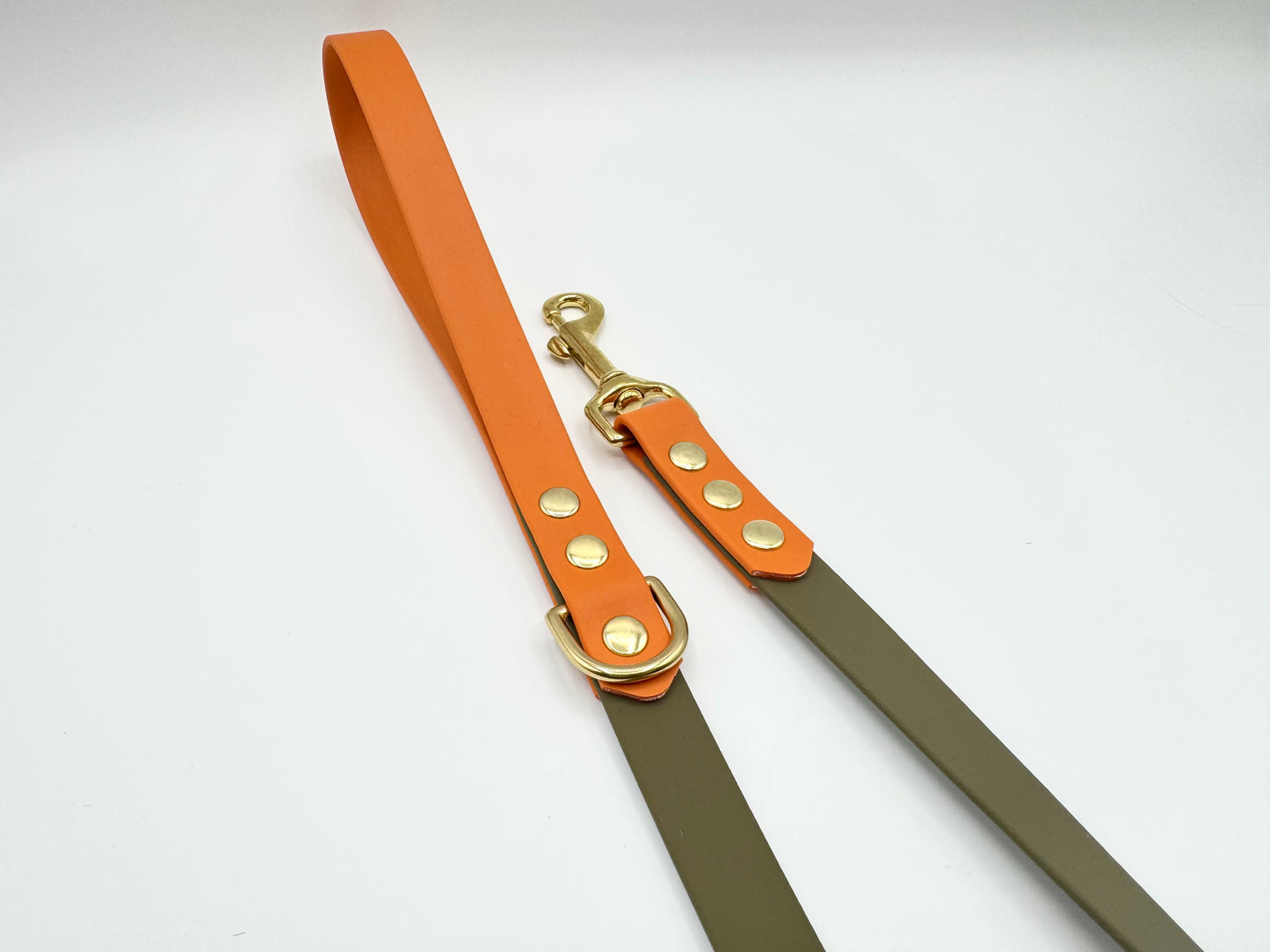 4ft Biothane Clip Lead (Ready to Ship)