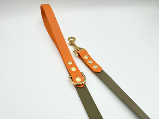 4ft Biothane Clip Lead (Ready to Ship)