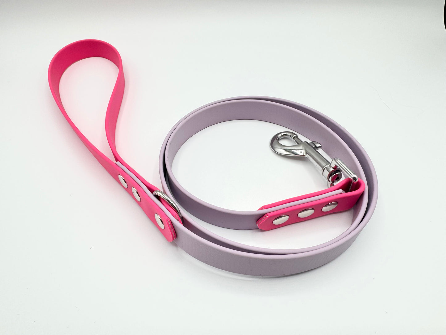 4ft Biothane Clip Lead (Ready to Ship)