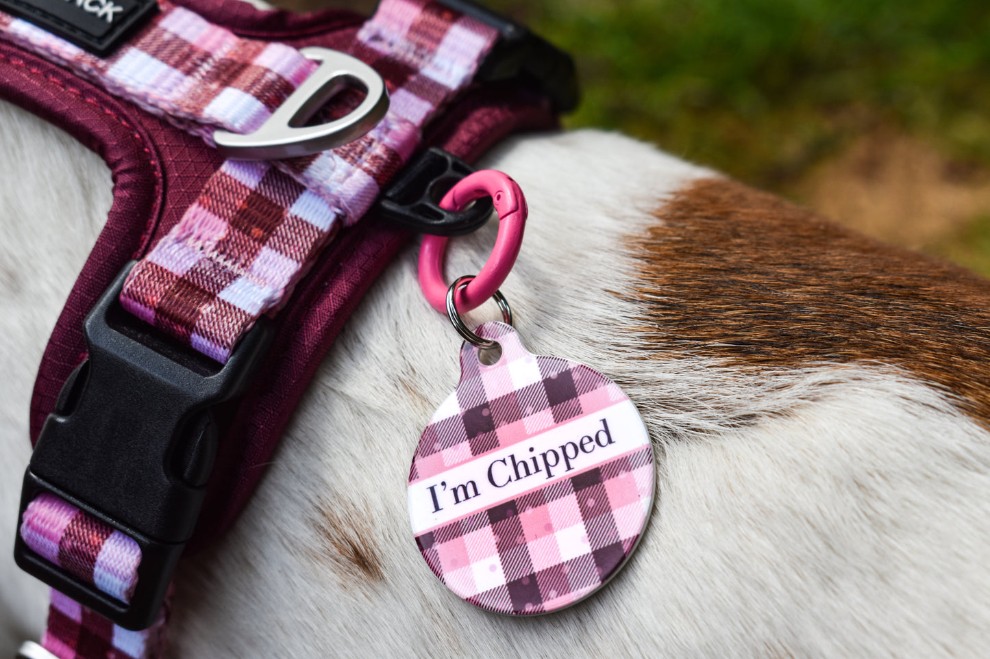 BurgHoundy Dog ID Tag