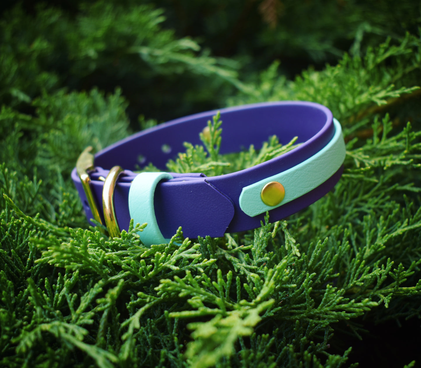 Two-Tone 25mm Biothane Adjustable Collar (Custom)