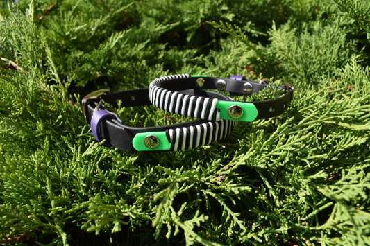 Beetlejuice Halloween Twirlies Collar