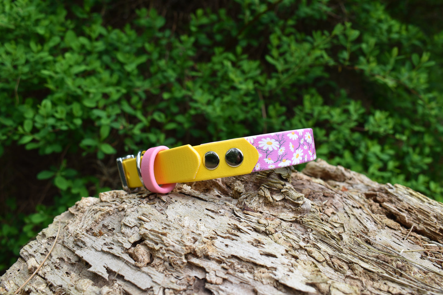 Pink Daisy Daisy UV Printed Biothane Collar