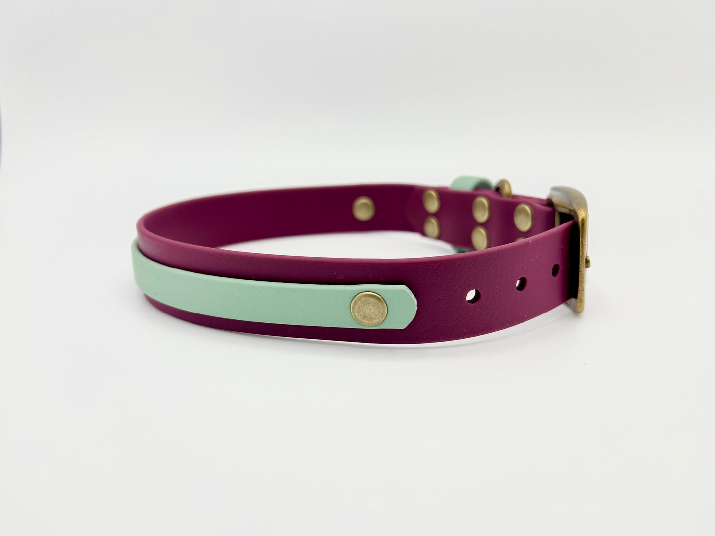 Two-Tone 25mm Biothane Adjustable Collar (Custom)