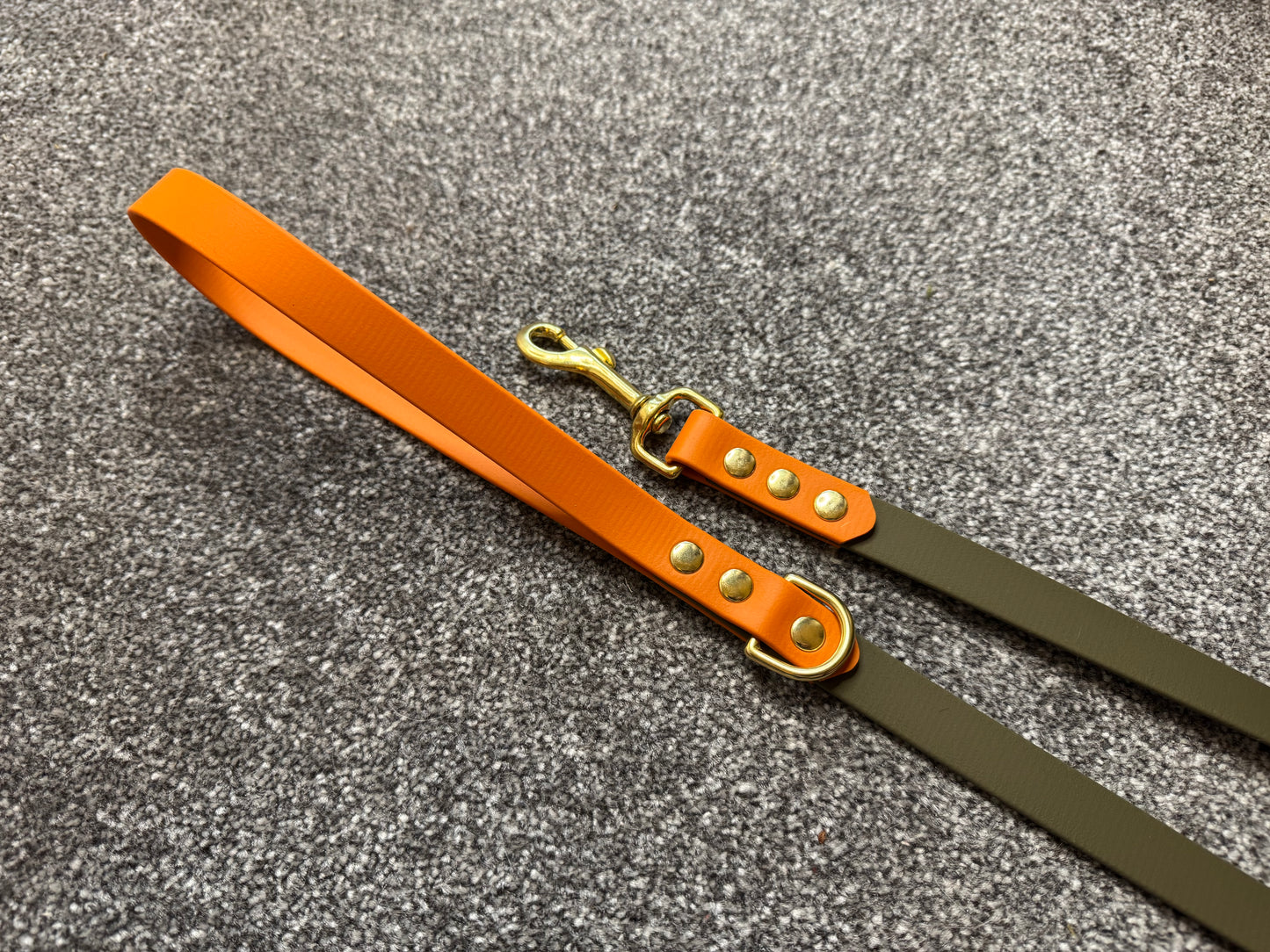 4ft Biothane Clip Lead (Ready to Ship)