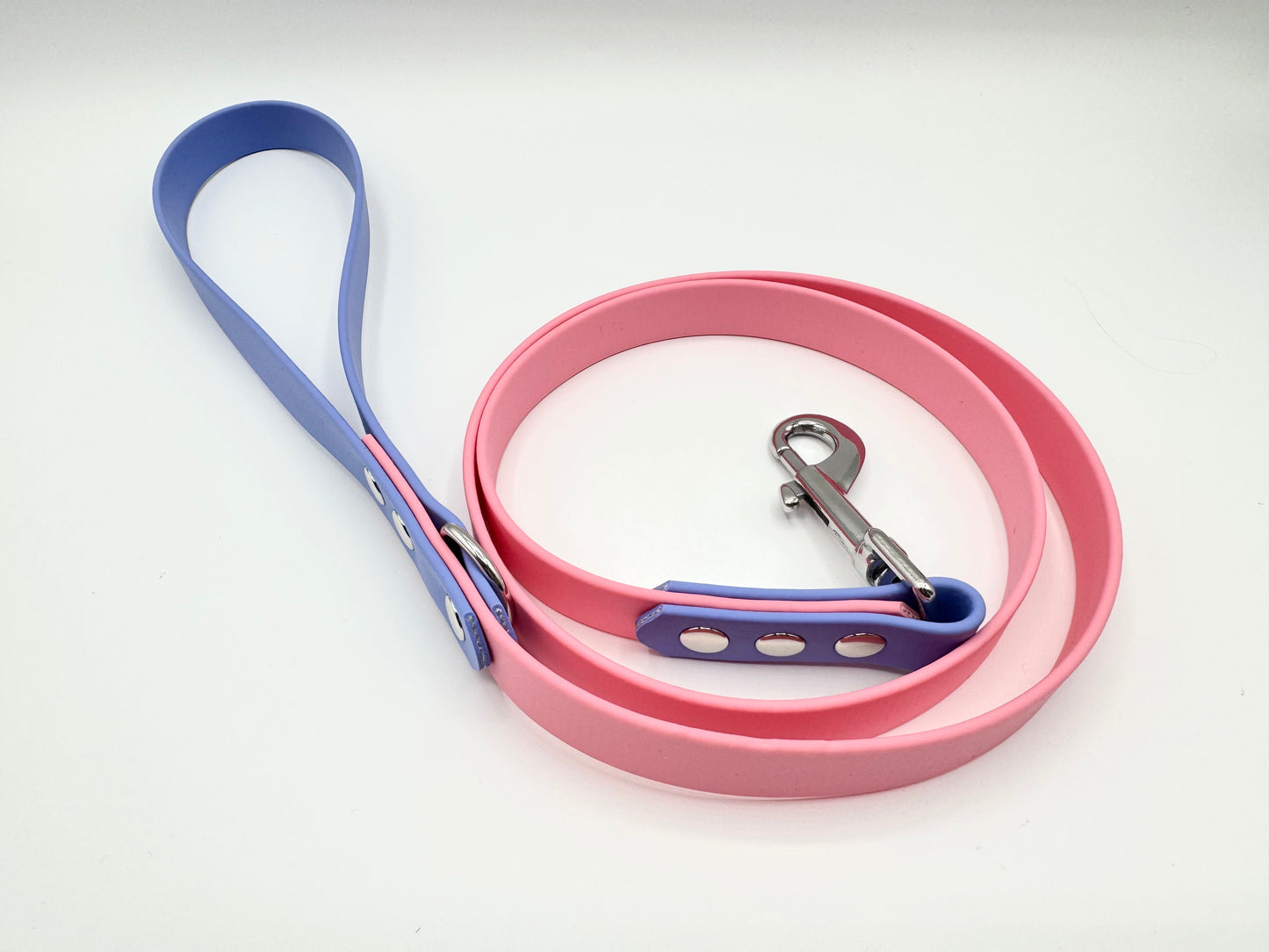 4ft Biothane Clip Lead (Ready to Ship)