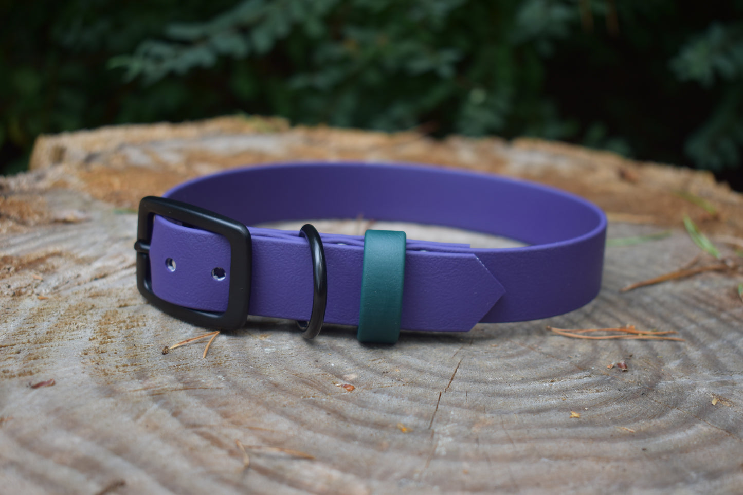 25mm Biothane Adjustable Collar (Custom)