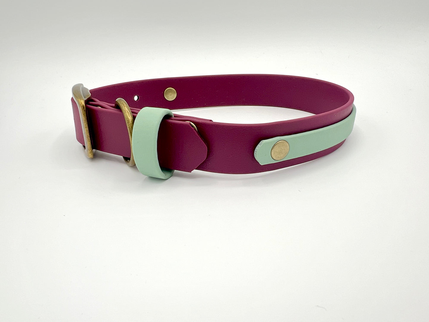 Two-Tone 25mm Biothane Adjustable Collar (Custom)