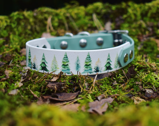 Evergreen Printed Biothane Collar (Hound Style)