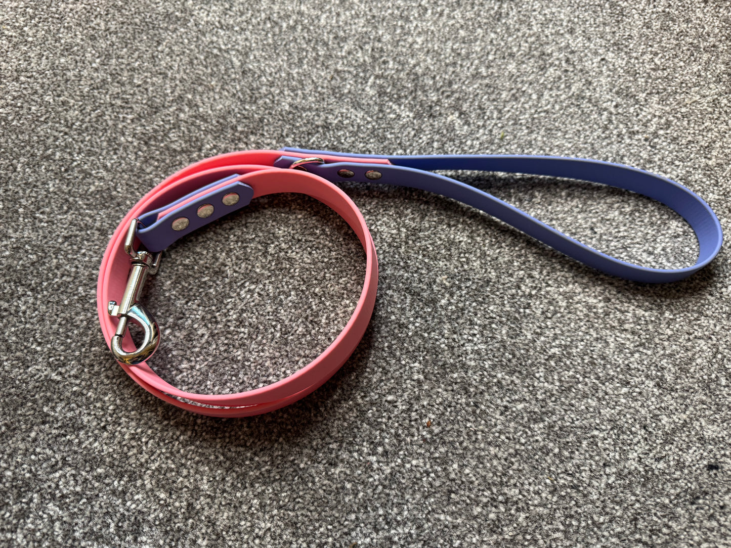 4ft Biothane Clip Lead (Ready to Ship)